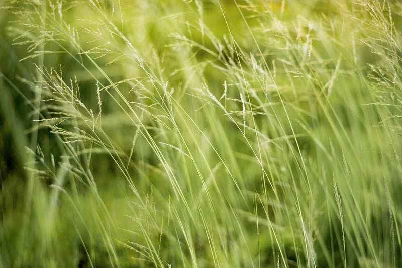 Sustainable Fashion